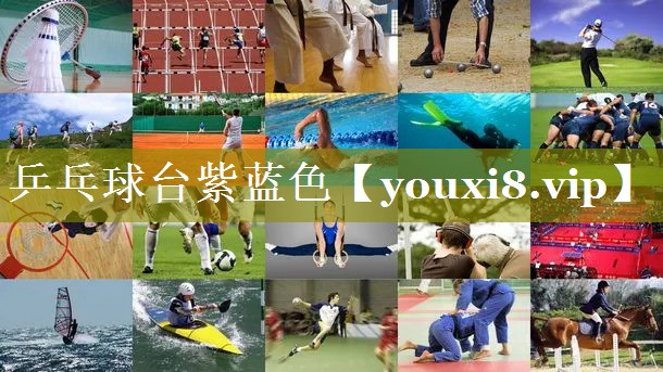乒乓球台紫蓝色 乒乓球台紫蓝色
