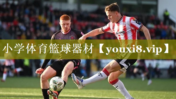 小学体育篮球器材 小学体育篮球器材